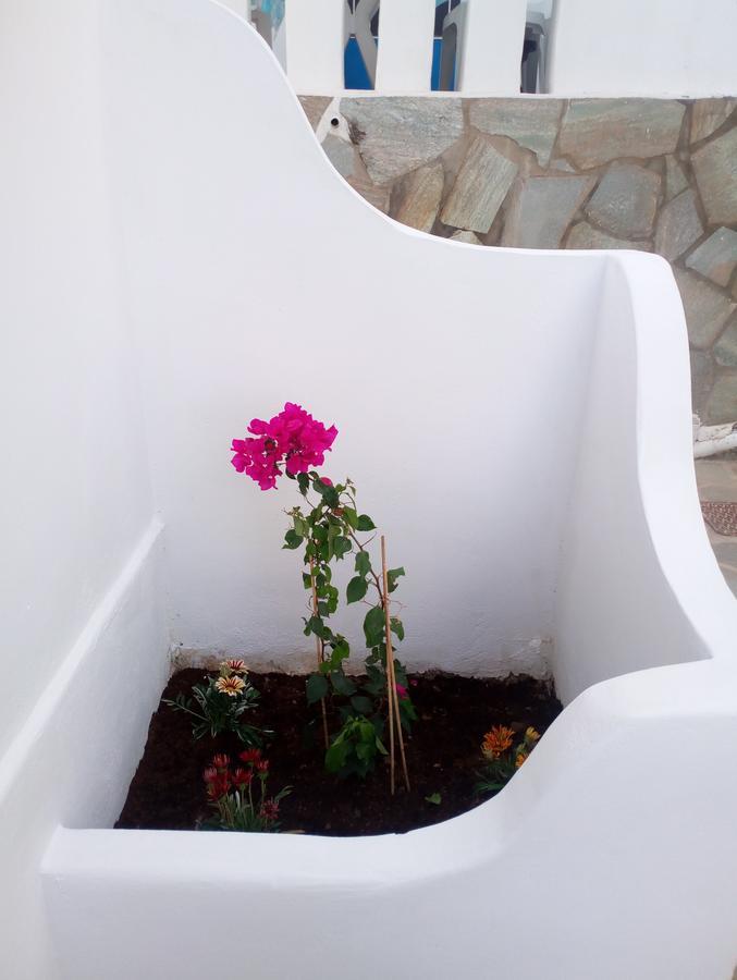 Thea Serifos Livadakia Extérieur photo